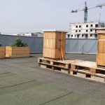 Miód z logo Geberit. Już 8 sierpnia Ogólnopolski Wielki Dzień Pszczół!