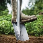 Jesienne sadzenie róż – krok po kroku