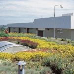 Zielone dachy – mariaż technologii z ekologią